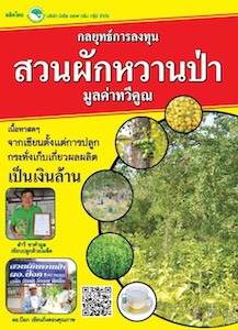 การปลูกผักหวานป่า, ปลูกผักหวานป่า, วิธี การ ปลูก ผักหวานป่า, วิธีปลูกผักหวานป่า, เมล็ดผักหวานป่า, สวนผักหวานป่า, ผักหวานป่า สระบุรี,ต้นผักหวานป่า