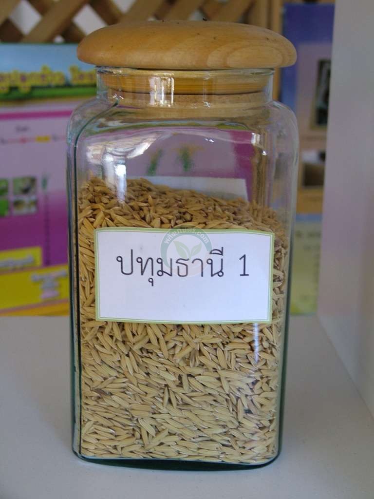 DSCF0010