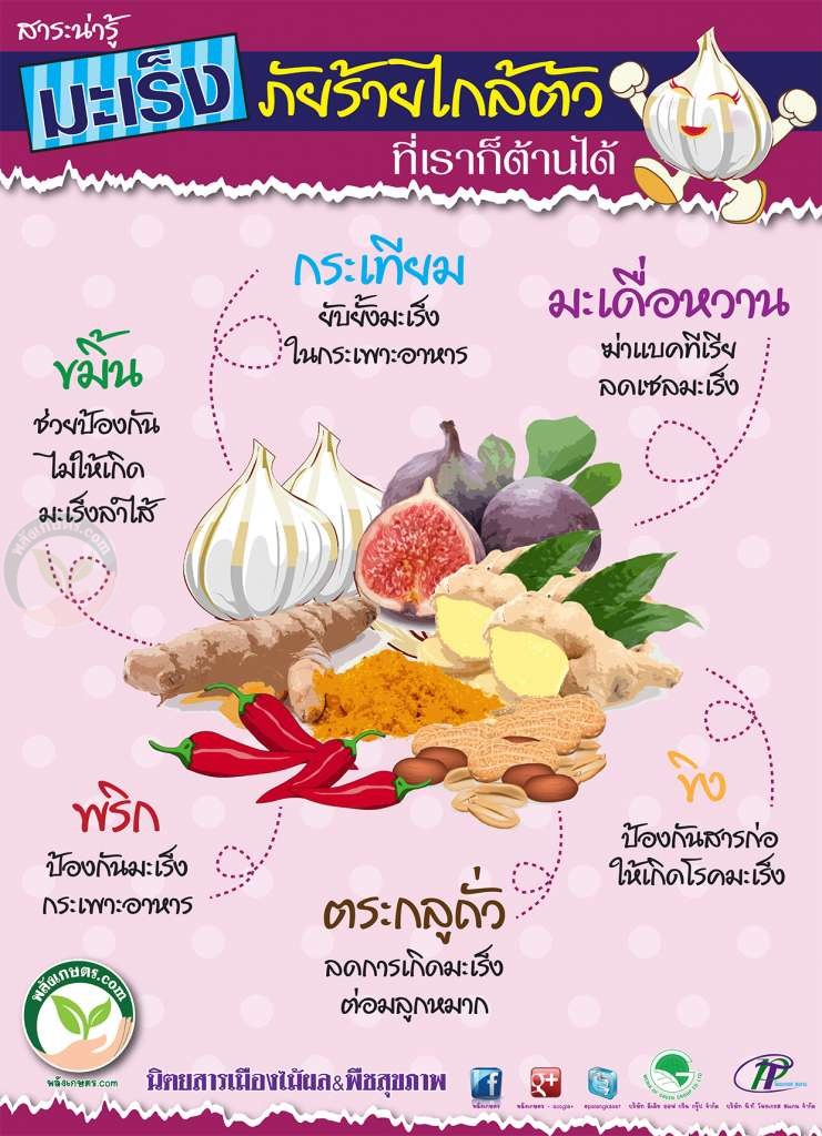 อาหารต้านมะเร็ง 6 ชนิด หาซื้อได้แถวบ้าน