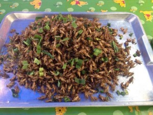 เมนูจิ้งหรีดทอด