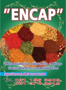 สมุนไพร ENCAP