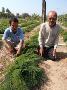 คุณสี เทียนประทีป (ซ้าย) และคุณชวน พงษ์เผือก (ขวา)
