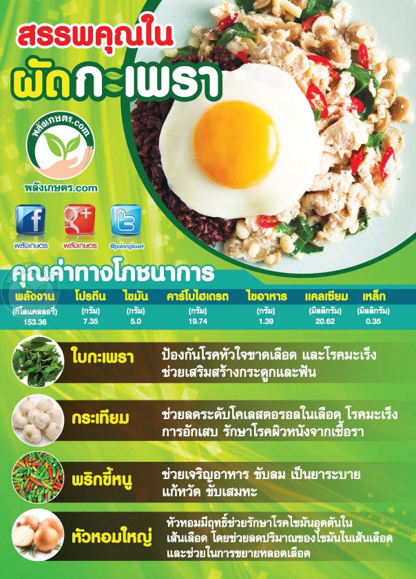 ผัดกระเพรา คุณคา่ทางโภชนาการ เทา่ไร