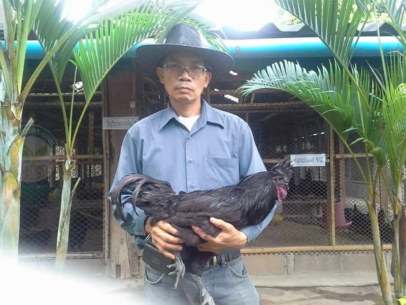 คุณชินรัตน์ เมืองขุนทด