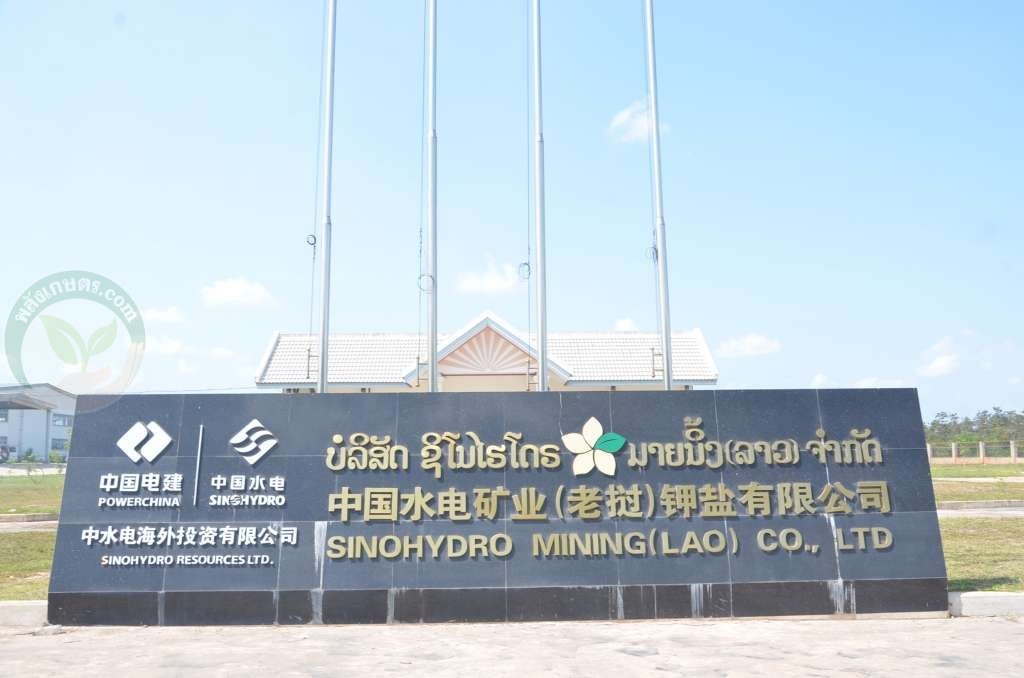 ชิโนไฮโดร