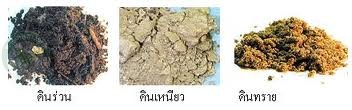 ดินร่วน ดินเหนียว ดินทราย