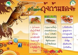 ทำไมต้องกุ้งก้ามแดง