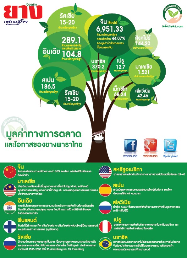 ยาง การส่งออก สินค้าส่งออกของไทย