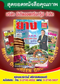 สมาชิก ยางเศรษฐกิจ