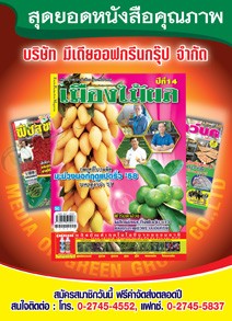สมาชิก เมืองไม้ผล