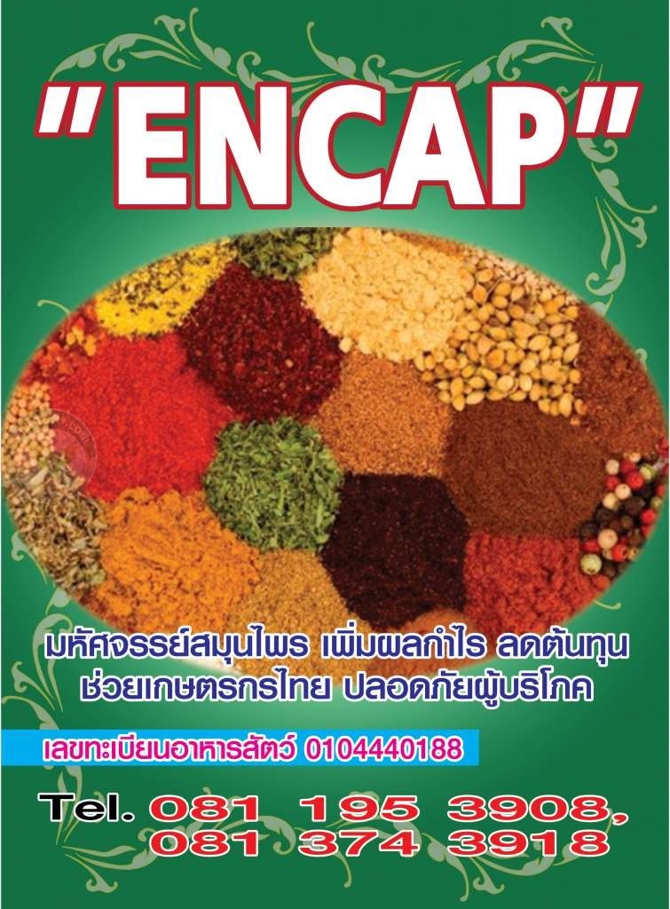 สมุนไพร ดร.มานิจ โทร 081-195-3908