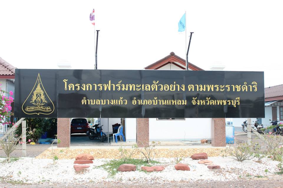 ชื่อโครงการ