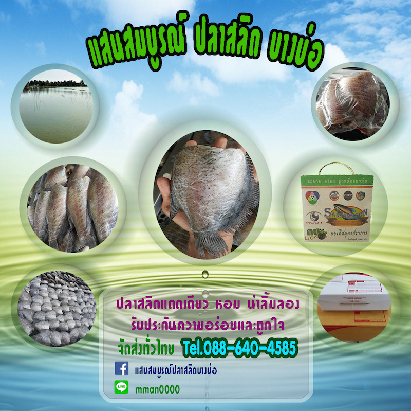 แสนสมบูรณ์ ปลาสลิด บางบ่อ