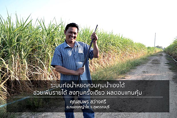 คุณสมพร สว่างศรี หรือ “พี่แมน” เกษตรกร อำเภอหนองหญ้าไซ จ.สุพรรณบุรี ปลูกอ้อยพันธุ์ขอนแก่น 3