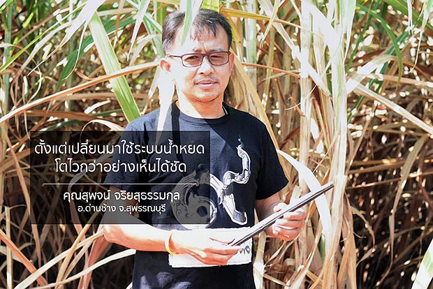 คุณสุพจน์ จริยสุธรรมกุล ระบบน้ำหยด